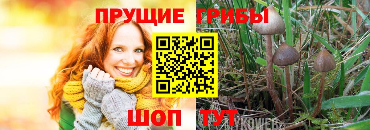 Псилоцибиновые грибы мухоморы Спасск-Дальний